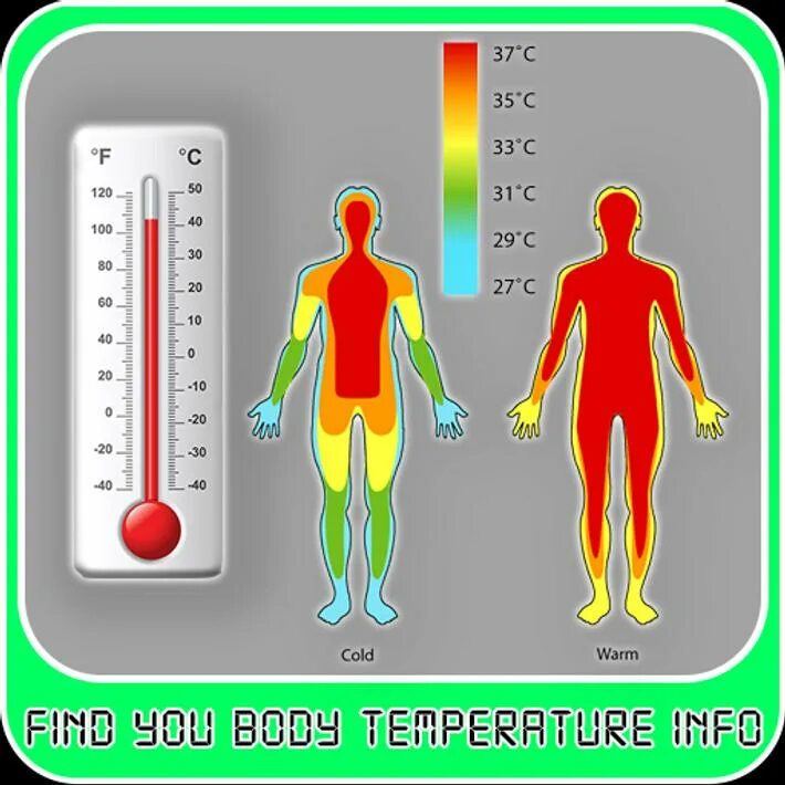 Температура тела. Высокая температура тела. Температура тела картинки. Эмоции и температура тела. Температура вашего тела