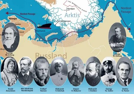 Путешественники арктики