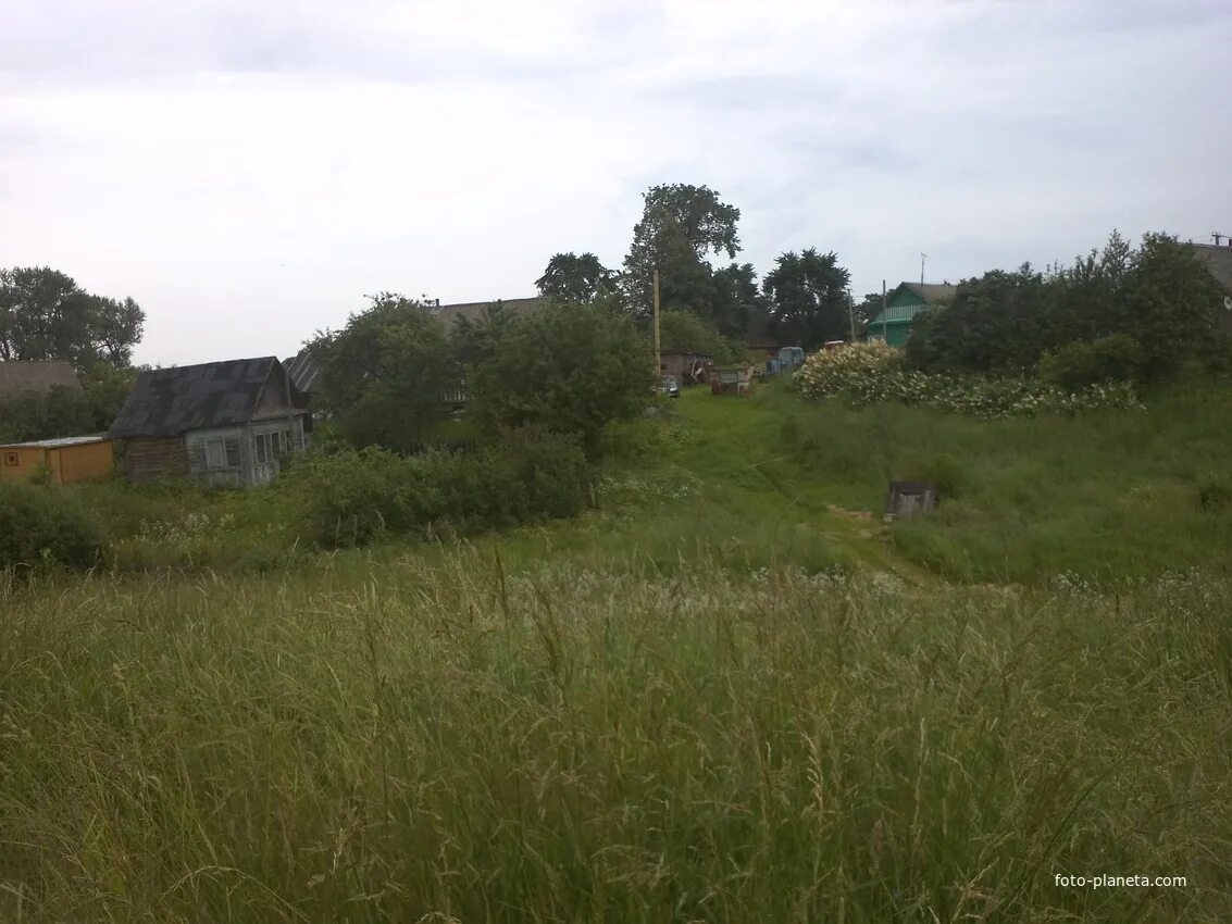 Погода в красилово валдайского. Деревня красилово. Деревня дворец новгородская область. Погода в красилово валдайского. Озеро шлино деревня красилово.