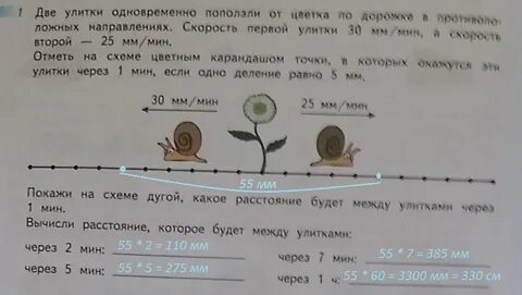 Скорость движения улитки в час