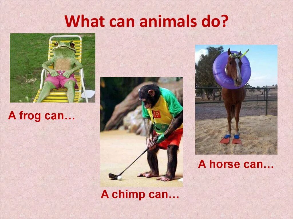 What can animals do. What can animals do презентация 2 Grade. 2 Класс animals can. What can animals do 2 Grade. A frog can t sing