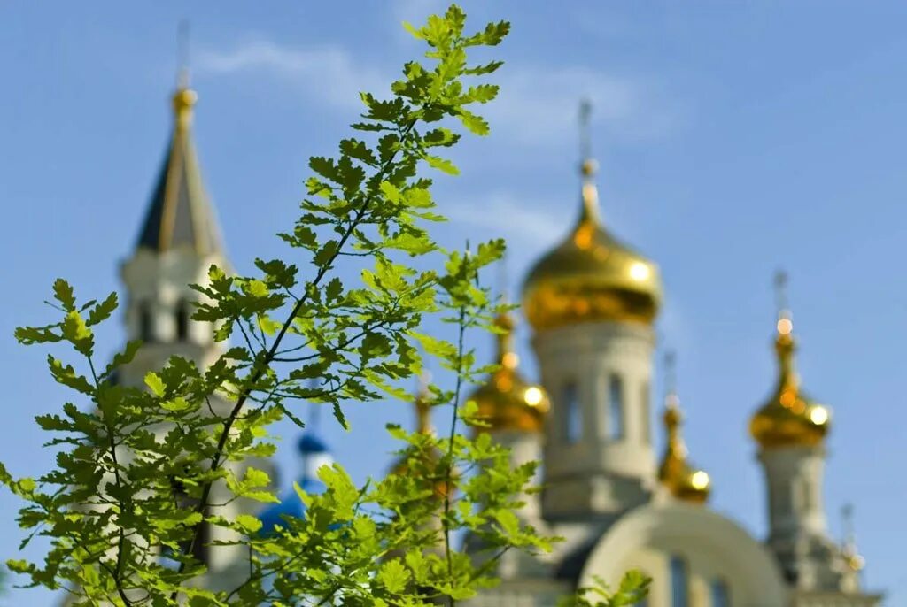 Троица береза храм. Церковь в зелени. Фон Берёзки и храм. Церковь на фоне зелени. Березовый храм