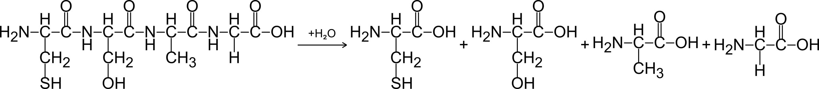 Гидролиз тетрапептида. Глицин аланин гидролиз. Аланин гидролиз. Гидролиз глицина уравнение. Напишите реакцию глицина