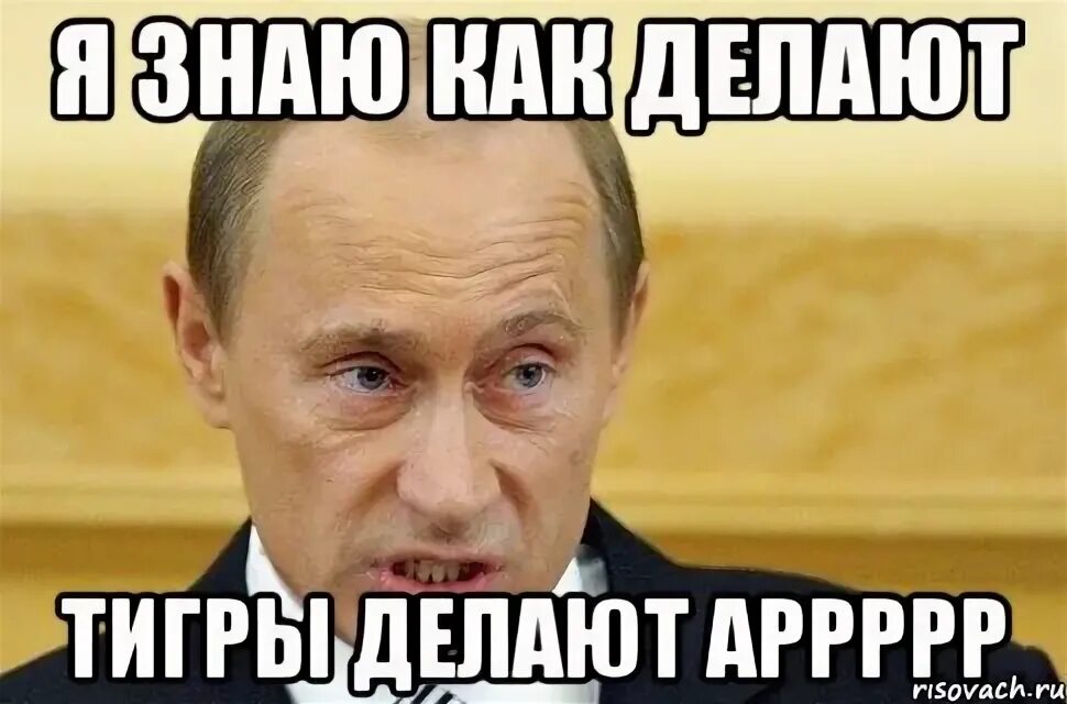 Мемы с котами. Ты кто такая. Коты мемы с надписями. Включи вы кто такие. Ты кто такой давай до свидания мем.