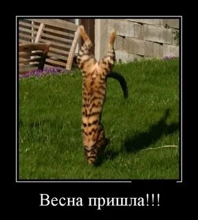 Приходить пошлый