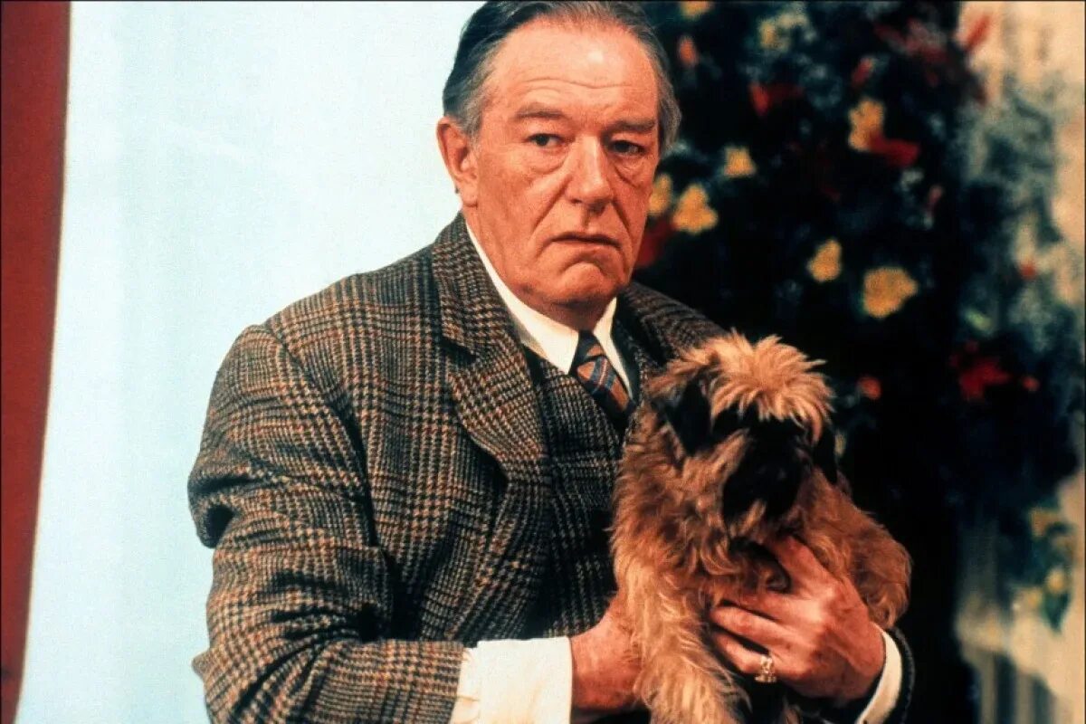 Michael gambon