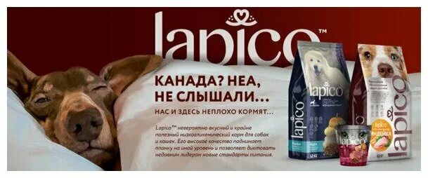 Сухой корм Lapico Advanced. Лапико корм для собак. Лапико корм для собак состав. Корм Лапико производитель. Lapico корм для собак