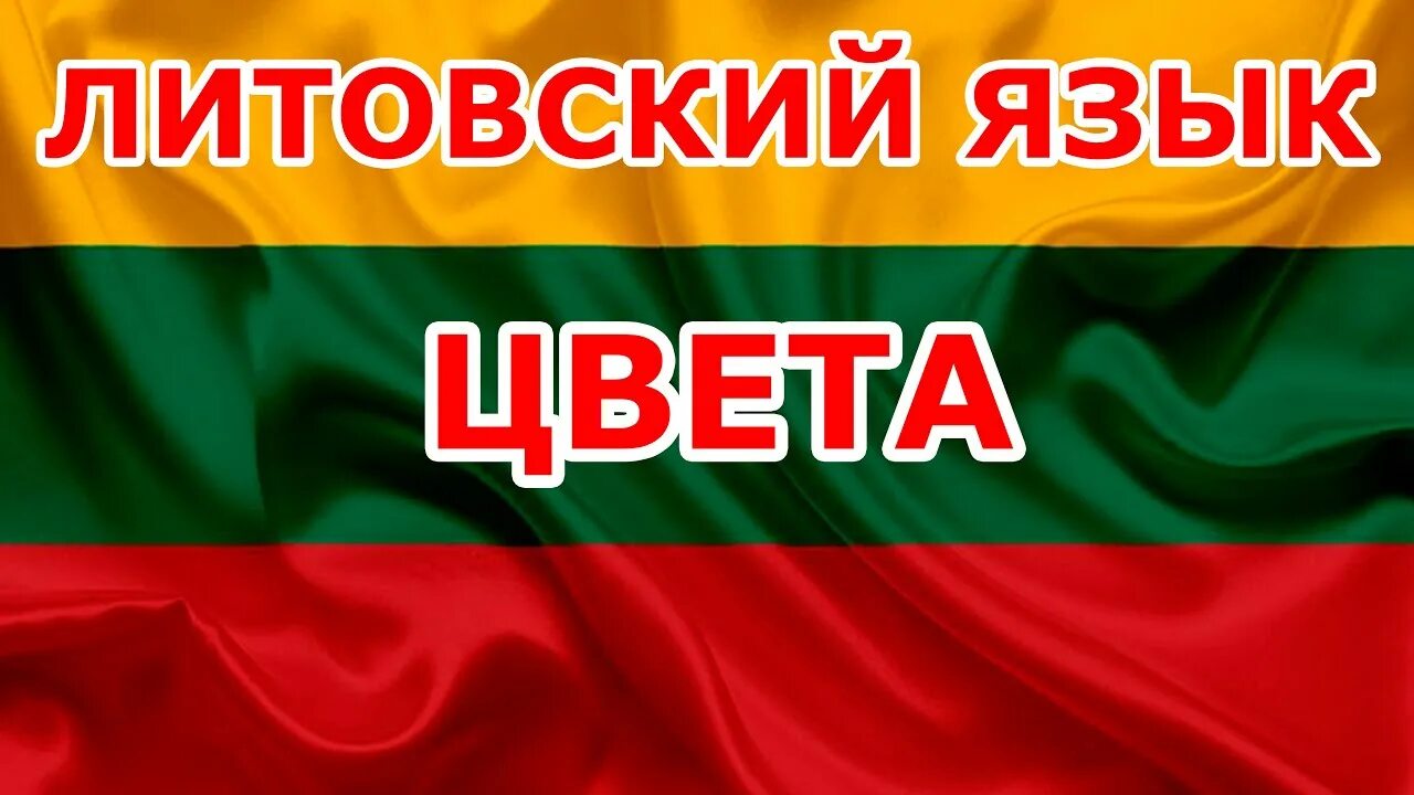 Литва язык. Литовский язык. Национальный язык Литвы.