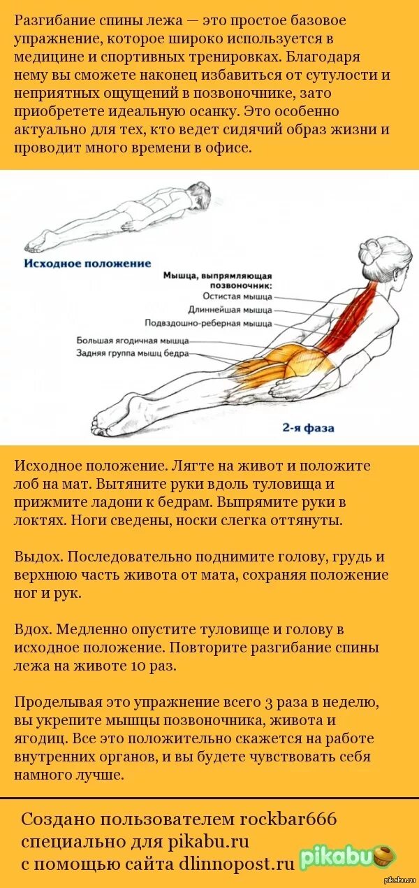 1 упражнение для спины. Тренировка мышц спины для осанки. Укрепить мышцы спины. Одно упражнение для осанки. Разгибатели спины упражнения для тренировки.