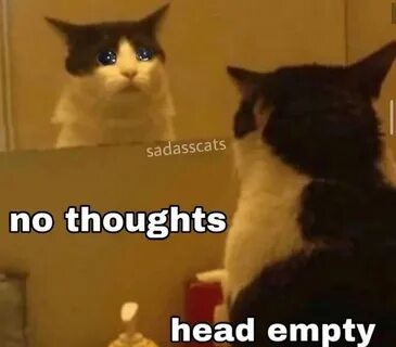 My head is empty was only temporary