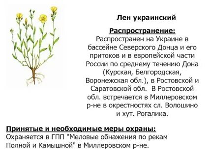 Распространение на украинском