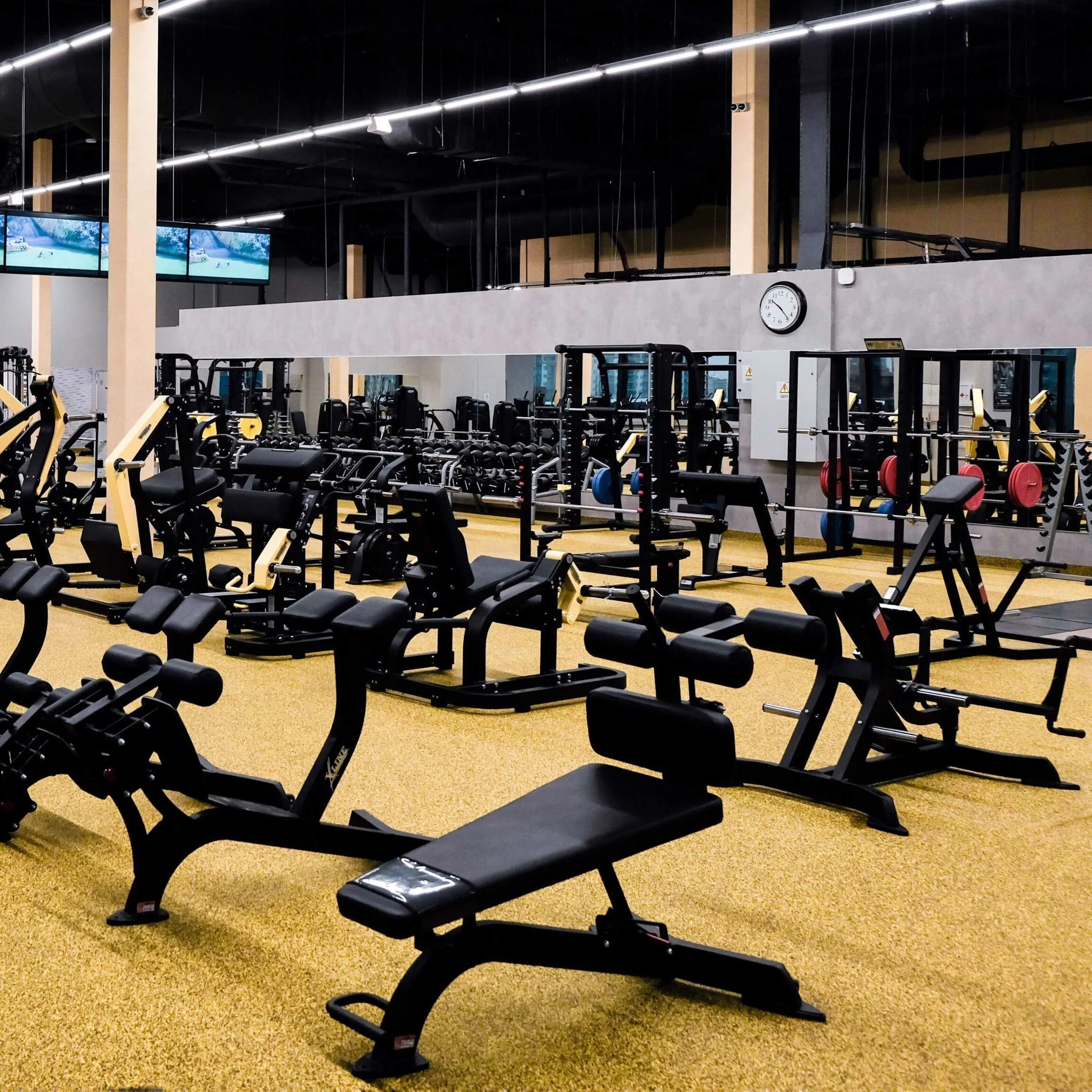 Тренажерные залы петербурге. Летучий голландец спортзал. Тренажерные залы петербурге. Фитнес клуб скульпторс на туристской. Тренажерный зал спб дыбенко.