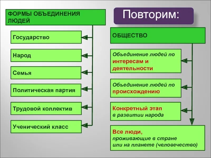 Объединение людей по определенному признаку это. Формы объединения людей. Семья общество государство. Человек общество государство. Форма объединения людей семья.