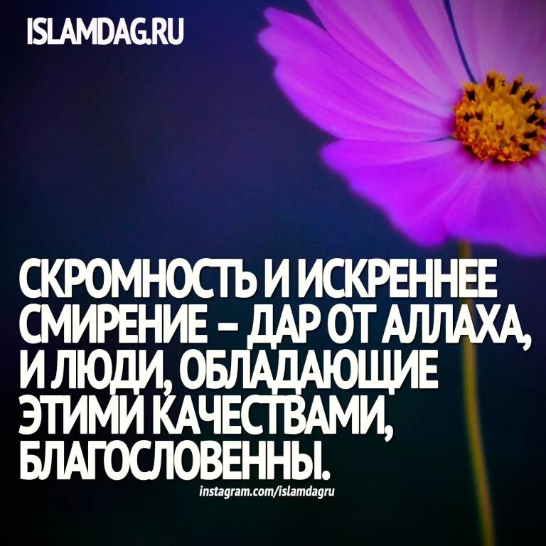 Уважение и скромность. Высказывания из Корана. Хадисы про жизнь. Ислам хадисы. Мусульманские хадисы.