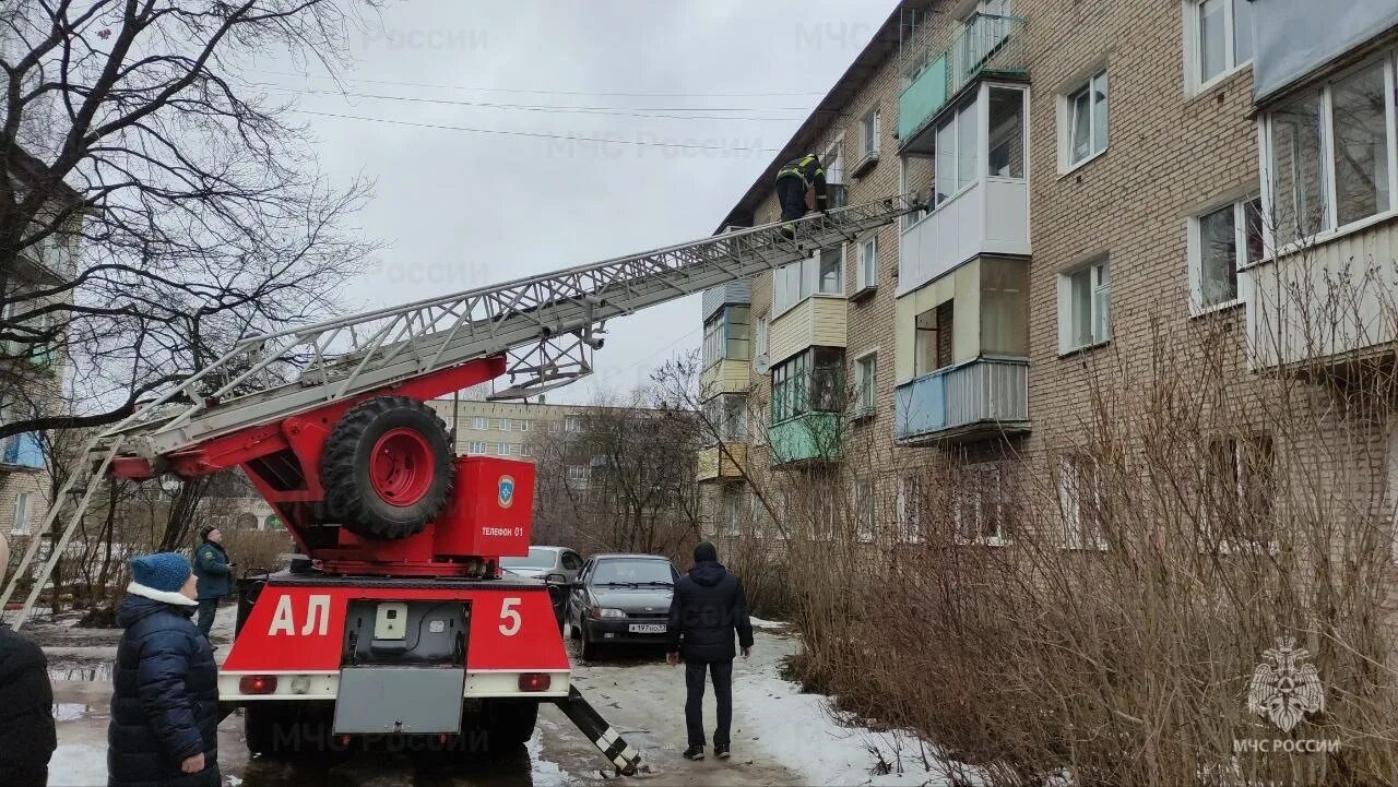 Поселок волгино новгородская область. Пожар боровичи. Боровичи пожар. Пожар в боровичах вчера. Пожар фото.