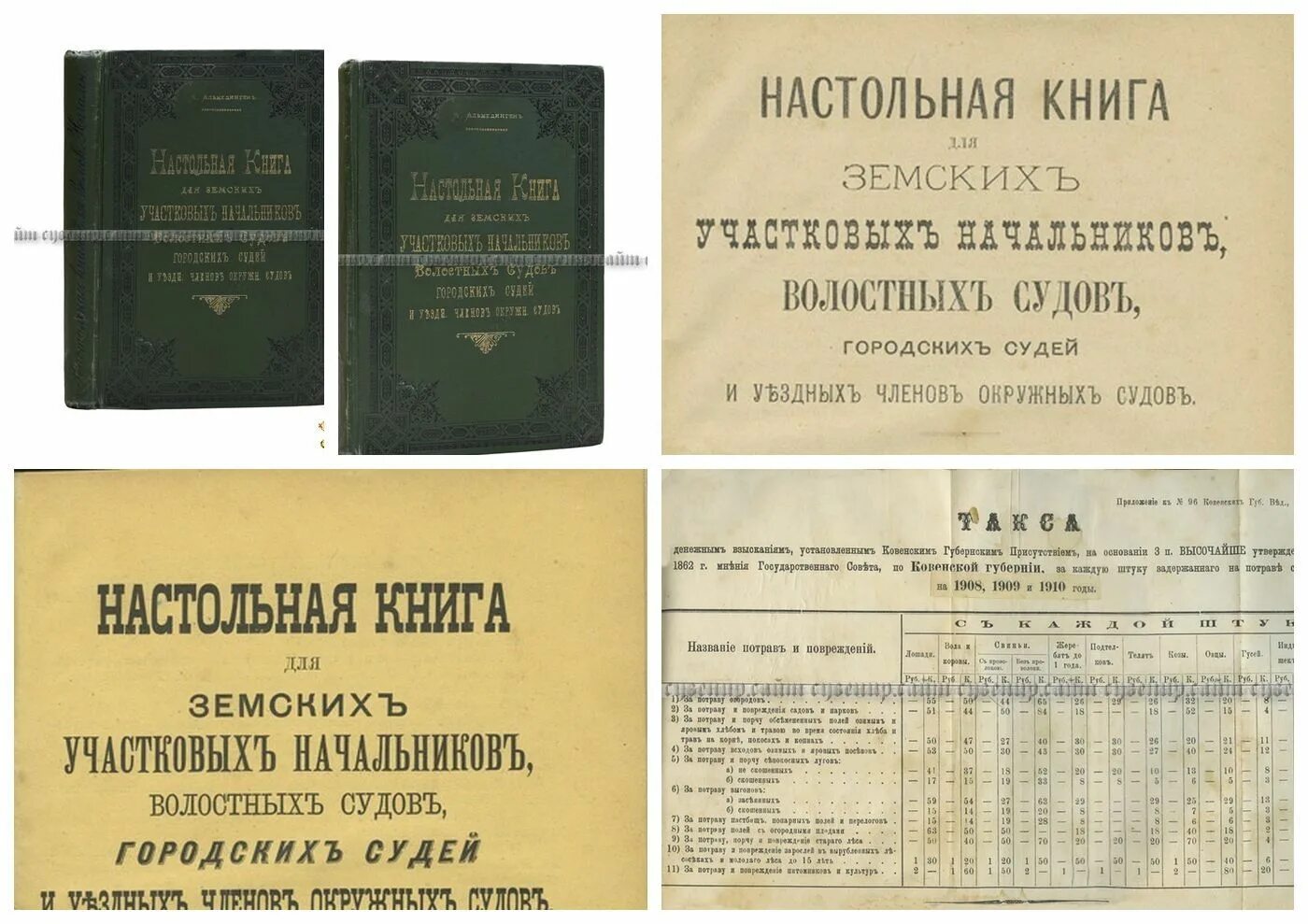 Положение о земских участковых начальниках 1889. Положение о земских участковых начальниках 1889 г. Земская книжка. Имущественные проступки по решениям Волостных судов.