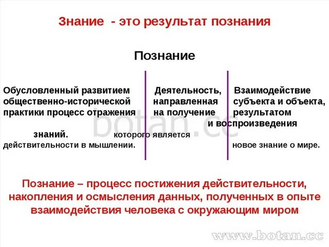 Познание общество вопросы. Познание и знание Обществознание 10 класс. Презентация на тему познание. Научное познание Обществознание. Тема познание по обществознанию.