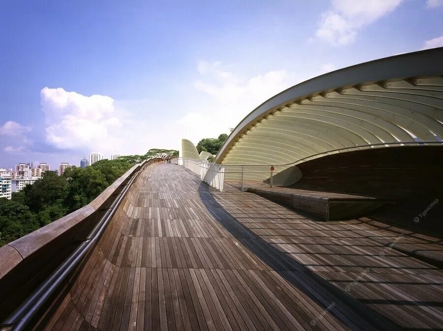 Длина пешеходного моста. Пешеходный мост Henderson Waves в Сингапуре. Пешеходный мост "волны Хендерсона". Волны Хендерсона Сингапур. Henderson Waves Bridge вид на город.