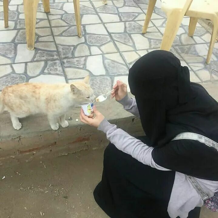 Мусульманский кот. Мусульманская девушка с котом. Кот в Исламе. Коты модные мусульманские.