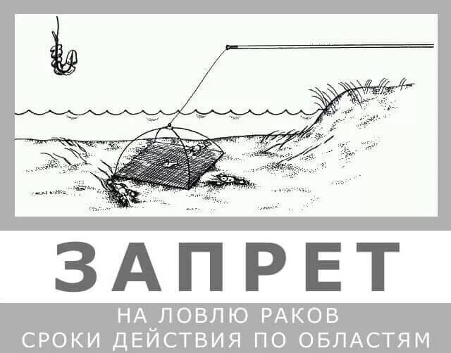 Запрет на ловлю весной. Запрещенные орудия лова рыбы. Ловля раков. Места.. Рыбалка запрещена. Где нельзя рыбачить.