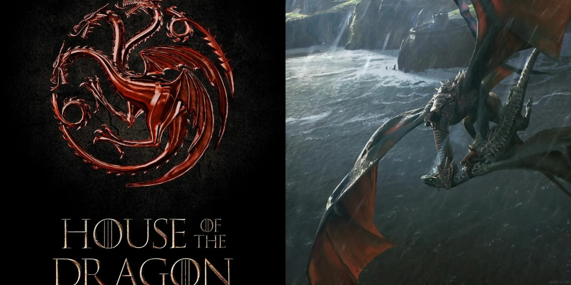 House of the dragon x reader