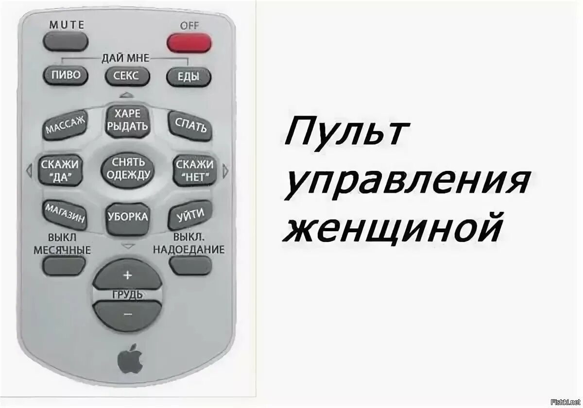 Пульт управления женой шаблон. Пульт управления женщиной прикол. Пульт для женщины прикольный. Женщина с пультом. Лови пульт