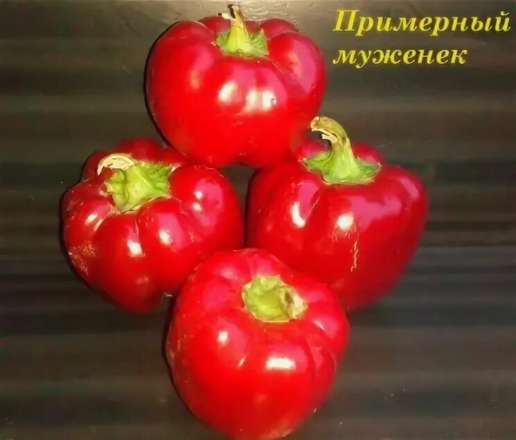 Семена Перец сладкий Примерный муженек: описание сорта, фото - купить с доставко