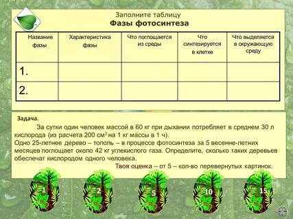 Процесс синтеза и дыхания у растений - красивые картинки и обои на рабочий стол