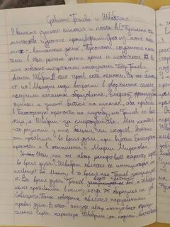 Сочинение характеристика гринева 8 класс