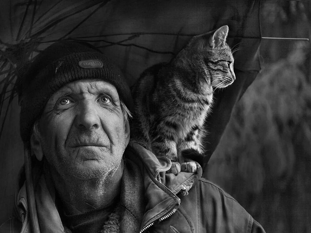 Старик и кот. Кот старичок. старики и коты. дед с котенком.