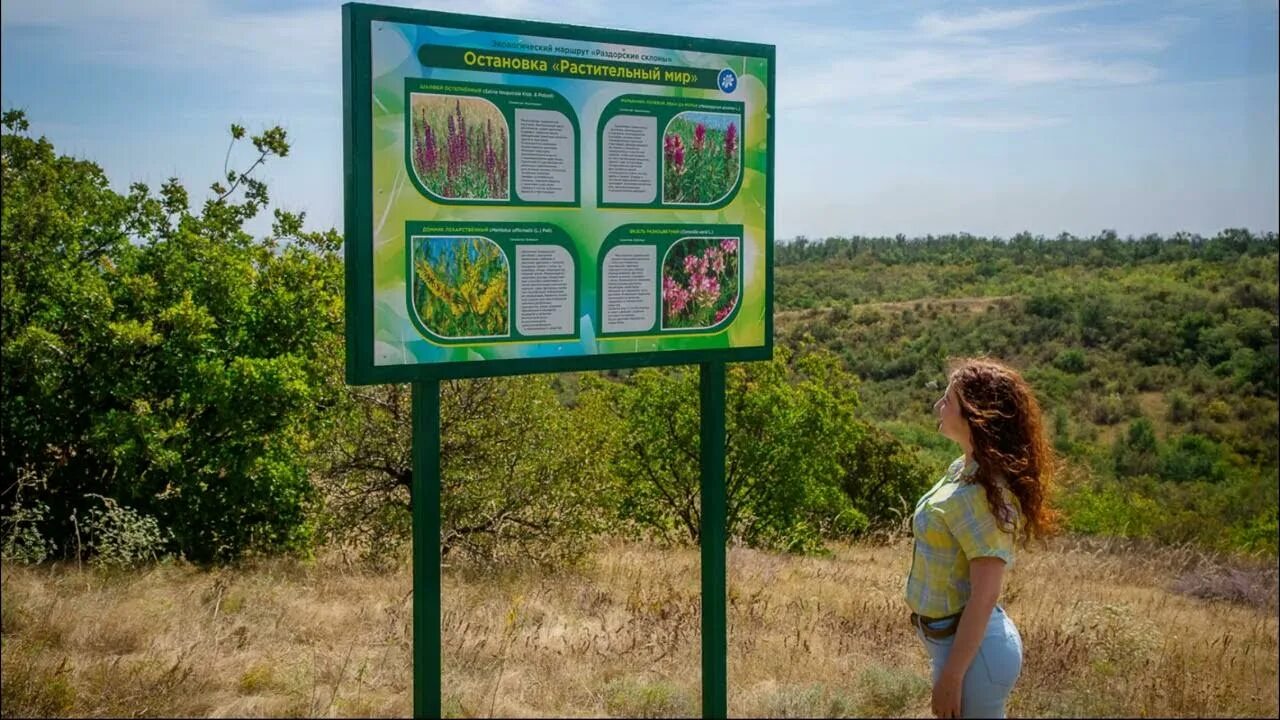 Экологическая тропа оренбург. Экологическая тропа дворца творчества. Царь сосна бузулукский бор. Кандалакшский заповедник экотропа. Экологическая тропа в детском саду.