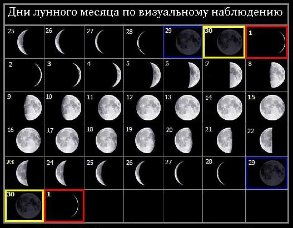 Лунный месяц сколько дней