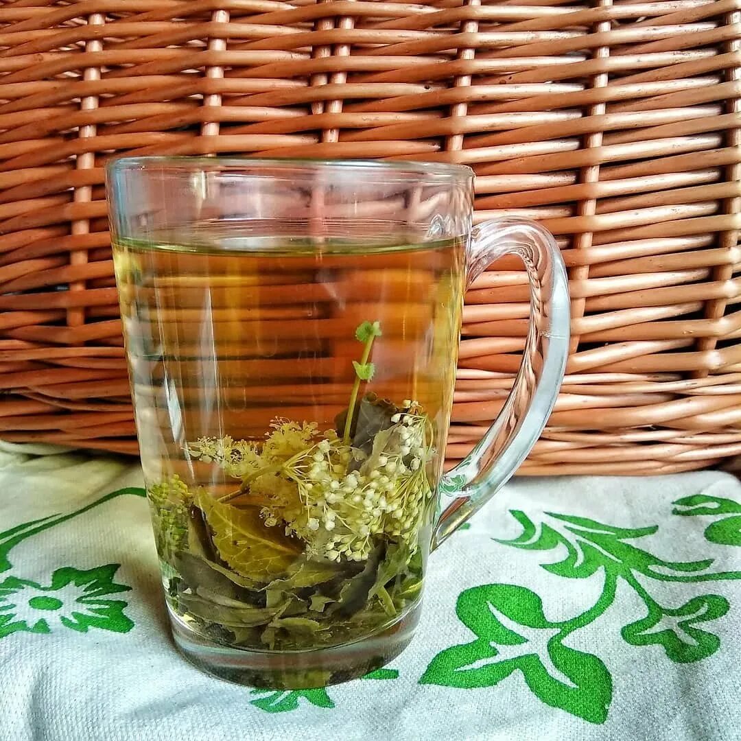 Лабазник чай. Таволга чай. Таволга лабазник чай. Таежный чай таволга. Чай из таволги.
