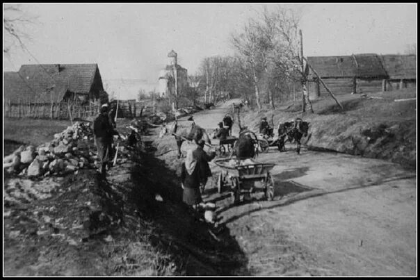 Великая отечественная новгородская область. Военнопленные Новгородская область 1942. Шимск 1941. Немцы в Новгородской области. 1941 Год в Новгородской области.