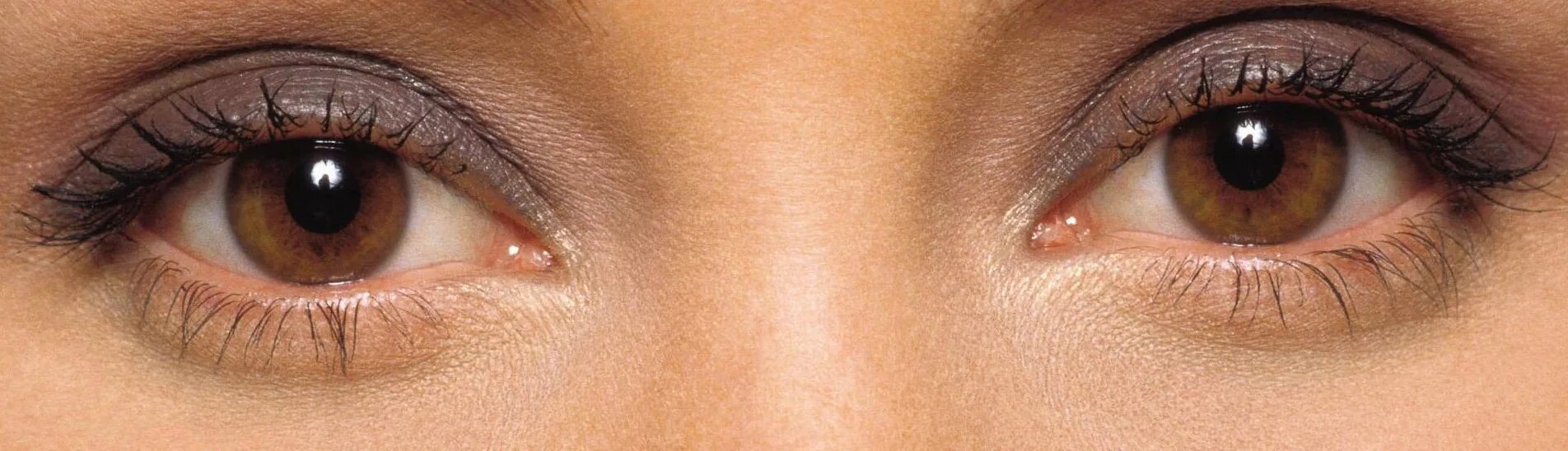 Темно карие глаза на английском. Темно карие глаза. Тёмно карий цвет глаз. Темно карие глаза на английском. Карие глаза женские.