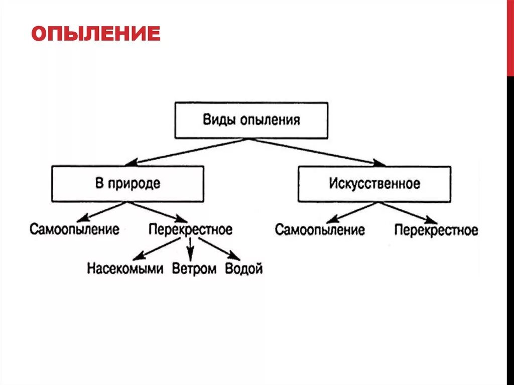 Какой процесс следует за опылением. Схема способы опыления. Схема типы опыления растений. Способы опыления растений схема. Схема опыление типы опыления растений.