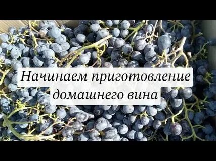 Начало вин
