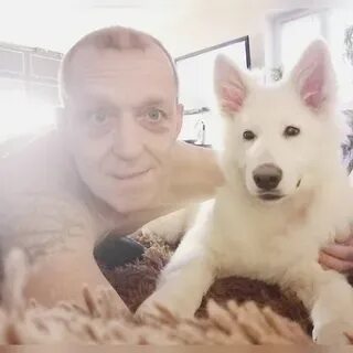 Звери кондопога