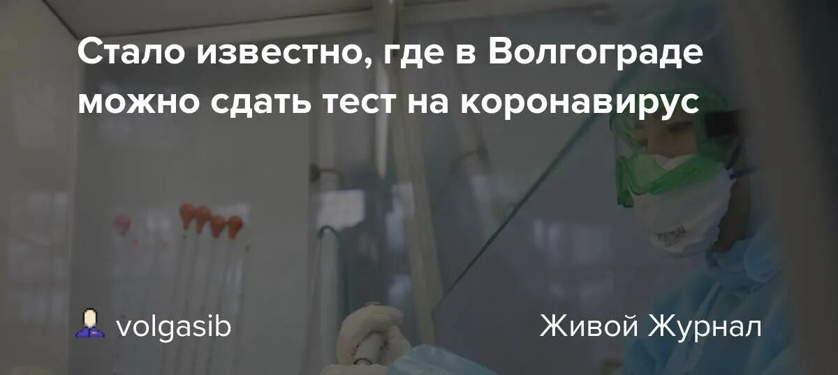 Где можно сдать коронавирус. Где можно Волгограде сдать свои стихи.