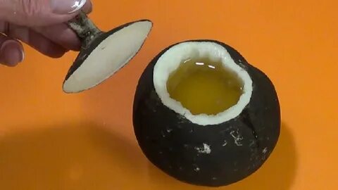 Редька зеленая с медом от кашля рецепт