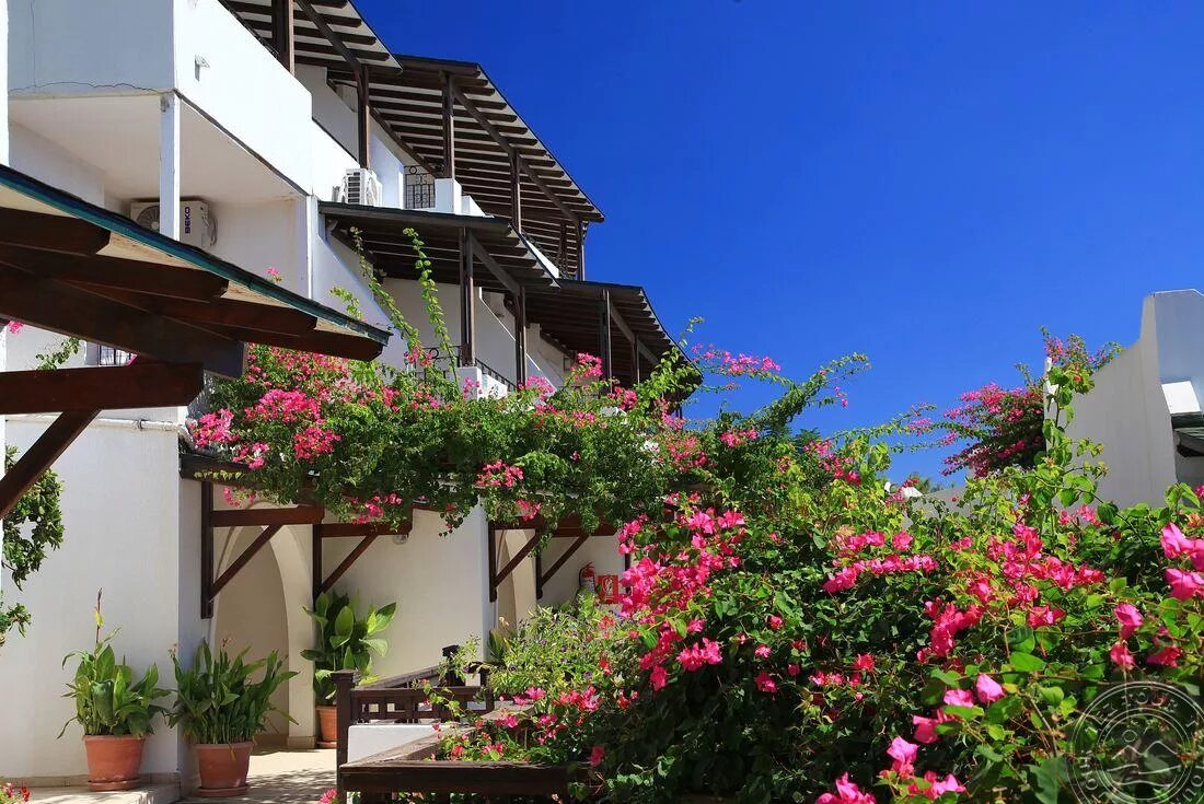 Club forever hotel 4 bodrum. Forever club 4. Forever club бодрум. Бодрум отель форевер клуб. Бодрум форевер клаб 4 звезды.