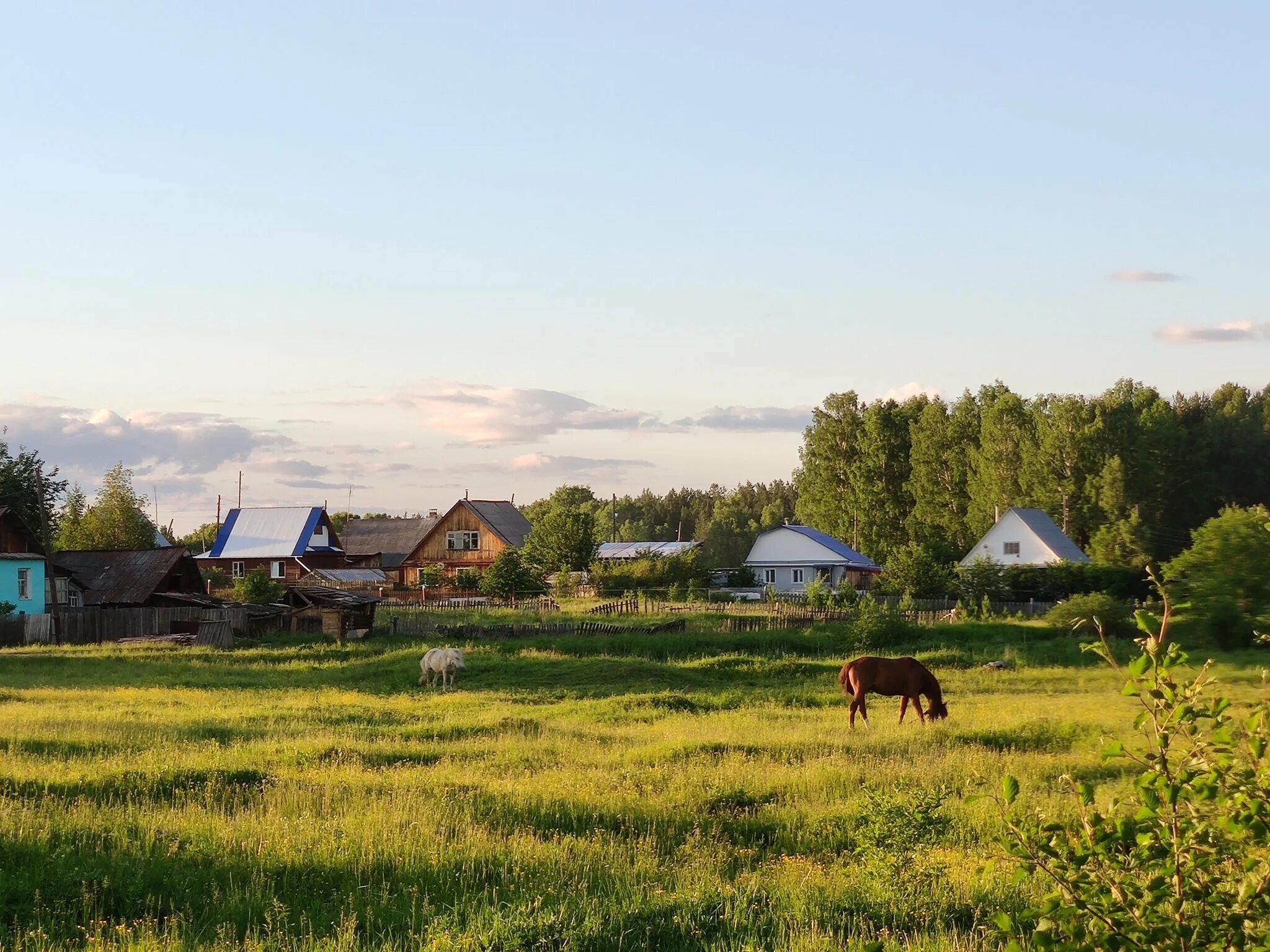 В 2 соседних деревнях. Деревня Родина Псковская область. Лето в деревне. Фотографии деревни. Красивые деревни России.