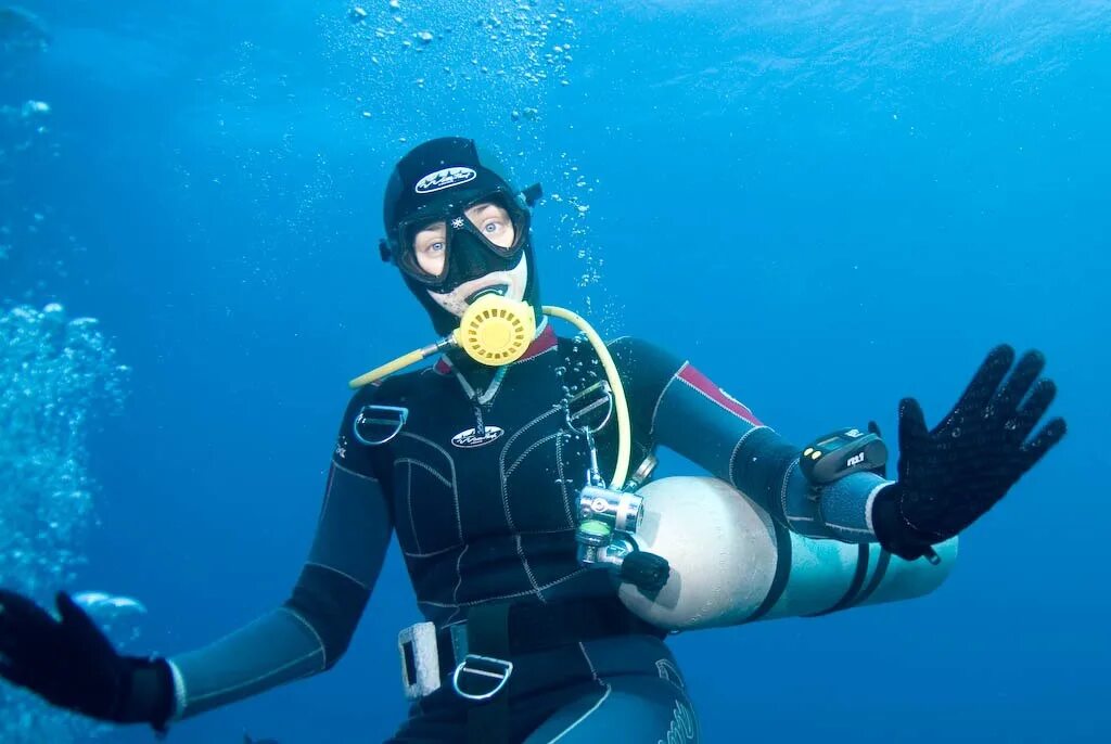 День водолаза. Thinking thinking diving diving. Скуба дайвинг. Подводное плавание. Thinking thinking diving diving.