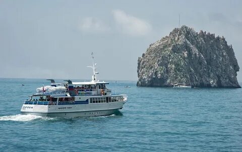 Морской прогноз ялта