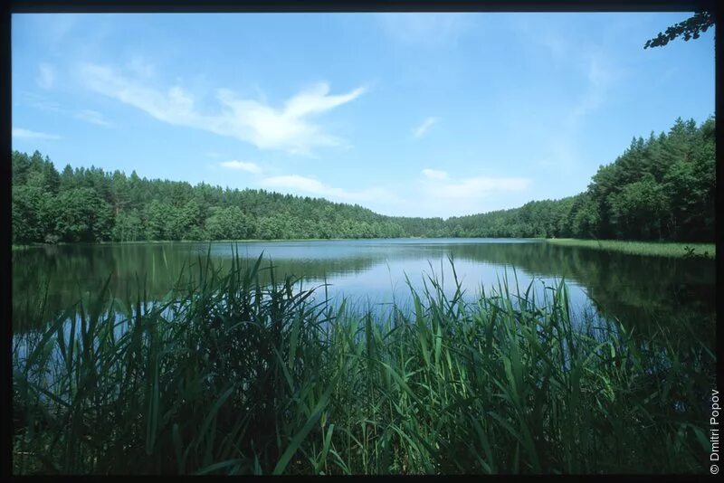 щучье москва. достопримечательности п метростроевский веневский район. озеро щучье омск. село щучье курганской области. чистополье озеро щучье.