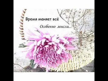 В жизни многое меняется