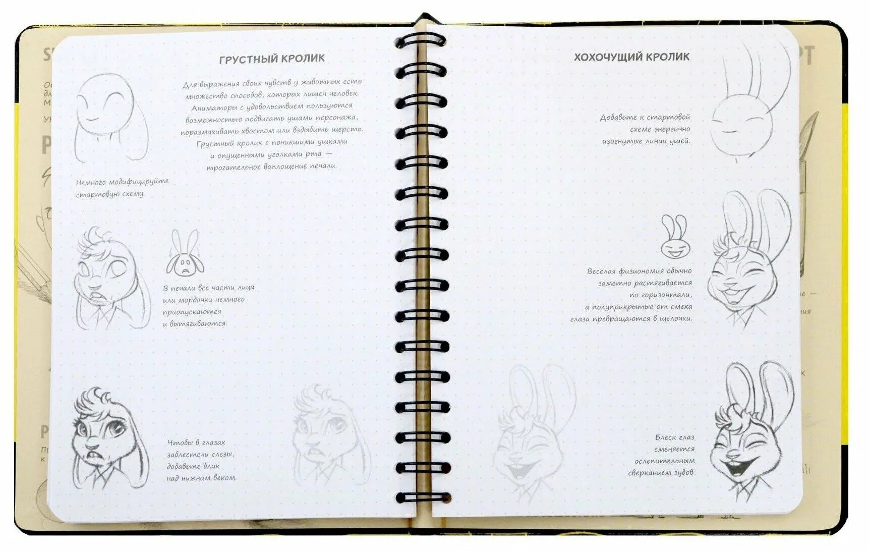 Скетчбук эксмо. Скетчбук аниматора эксмо. sketchbook. скетчбук аниматора. скетчбуки аниматоров. скетчбук эксмо sketchbook.
