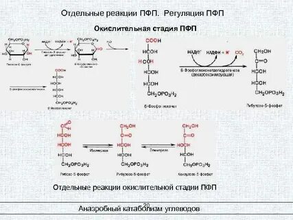 Отдельный реакция