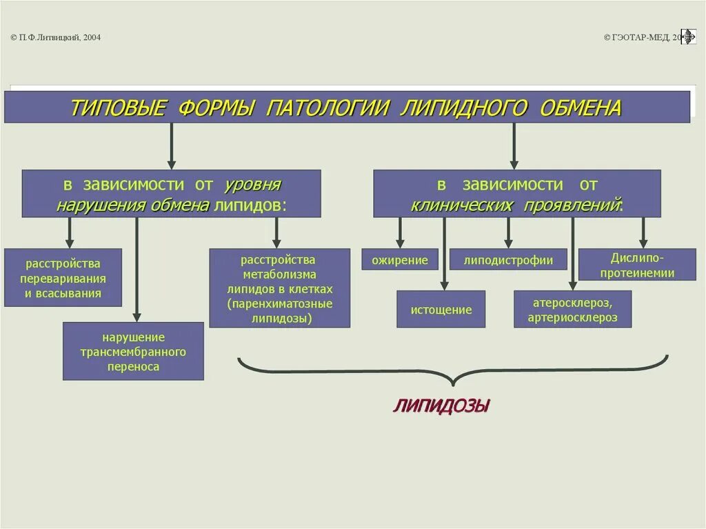 Изменение типовой формы. Типовые формы патологии липидного обмена. Классификация нарушений липидного обмена. Патогенез нарушения липидного обмена. Типовые формы патологии клеток.