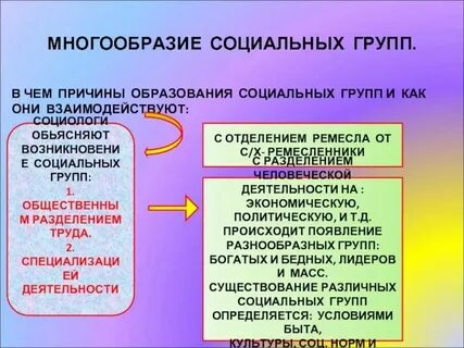 Общее социальное образование это